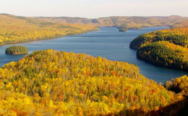 QC/La Mauricie NP/Autumn Leaves