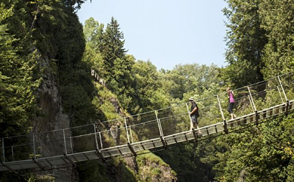 QC/Allgemeine Bilder/Quebec City/Waldbruecke