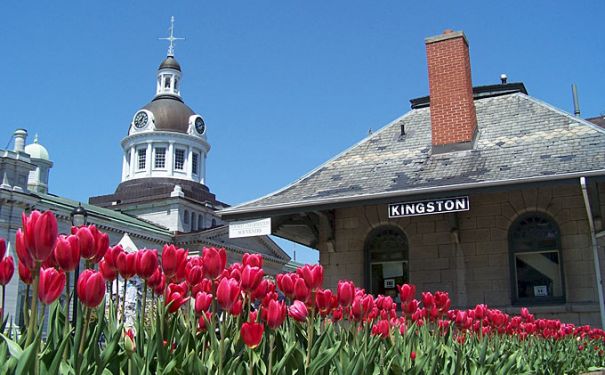 ART/Bus/Kanada/Kingston 1