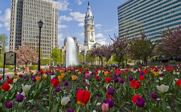 PA/Philadelphia/Allgemein/City Hall vor Tulpen