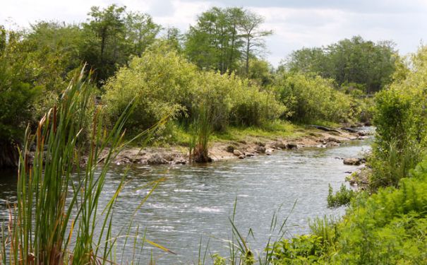 ART/Bus/Florida/Everglades NP
