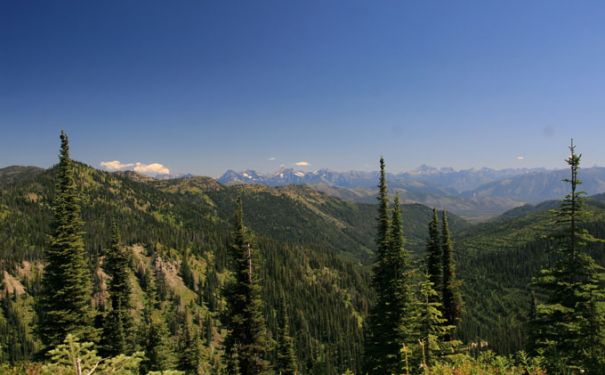 MT/Whitefish/Bergpanorama