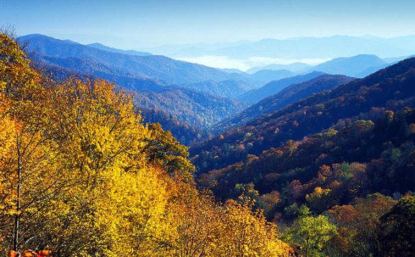 NC/Great Smoky Mountains/Newfound Gap