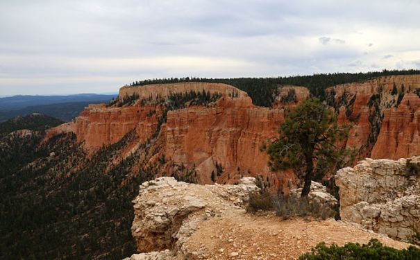 UT/Bryce Canyon National Park/Landschaft 1