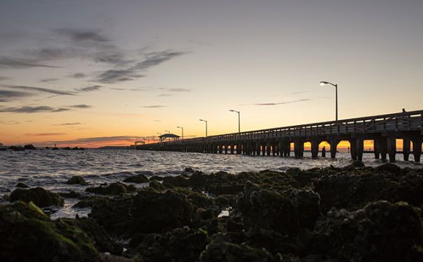 FL/Tampa/Ballast Point Pier