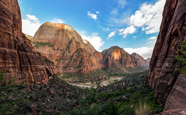 UT/Zion National Park/Great White Throne