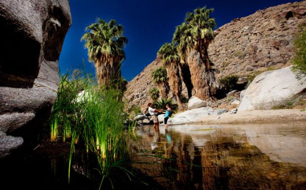 CA/Palm Springs/Indian Canyons dark