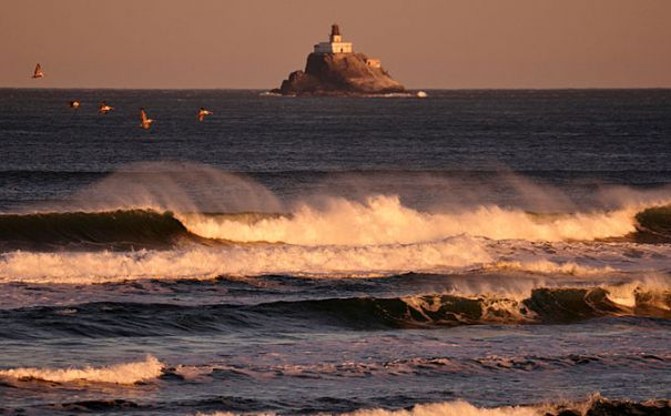 OR/Tillamook Head/Terrible Tilly