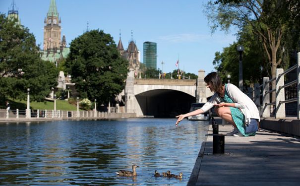 ON/Ottawa/Ducks