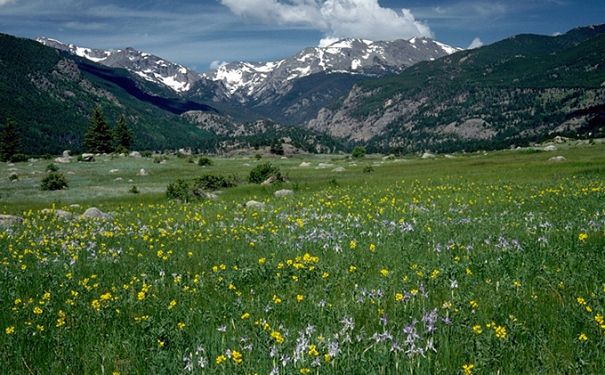 CO/Rocky Mountain National Park/Moraine Park