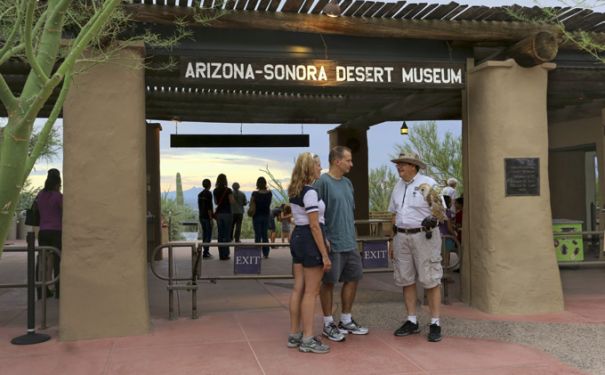 AZ/Tucson/Allg Bilder/Arizona-Sonora Desert Museum4