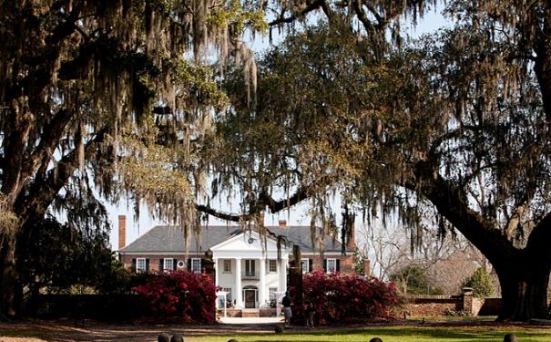 SC/Charleston/Boone Hall Plantation