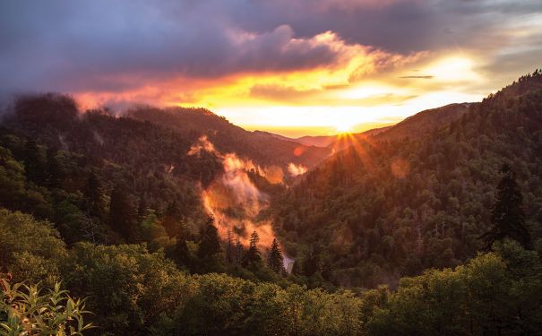 KY/Lexington/Great Smoky Mountains