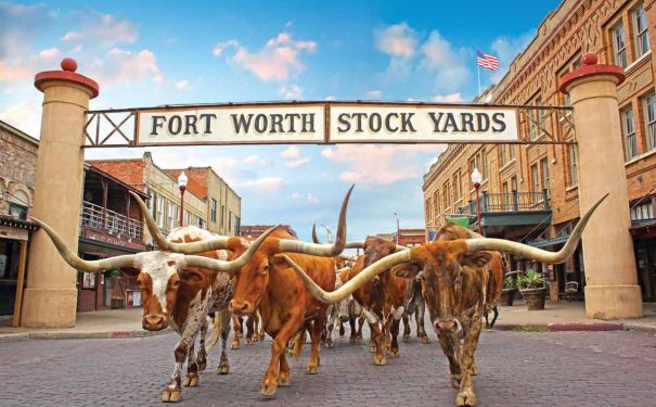 TX/Fort Worth/Stock Yards
