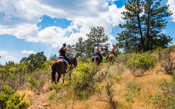 CO/Cherokee Park Ranch/Reiten