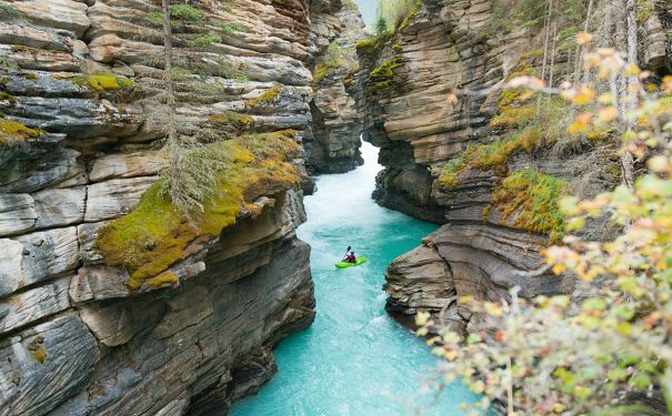 AB/Jasper National Park/Athabasca Falls