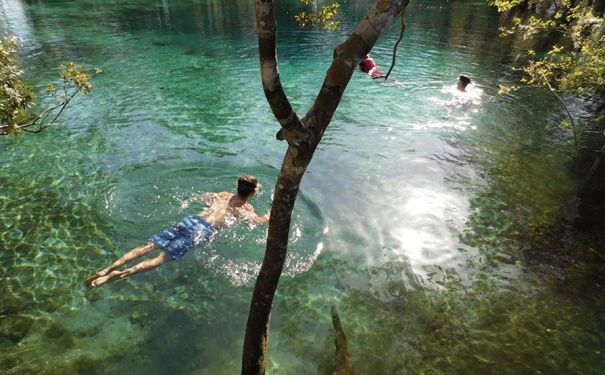 FL/Crystal River/Three Sisters Springs/Schnorchler