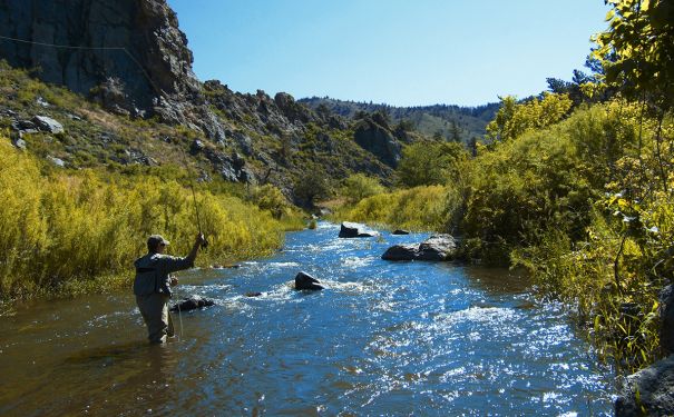 CO/Fort Collins/Poudre River/Fly Fishing