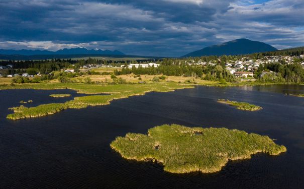 BC/Cranbrook/Elizabeth Lake