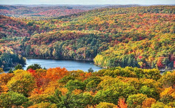 ON/Algonquin Provincal Park/Landschaft
