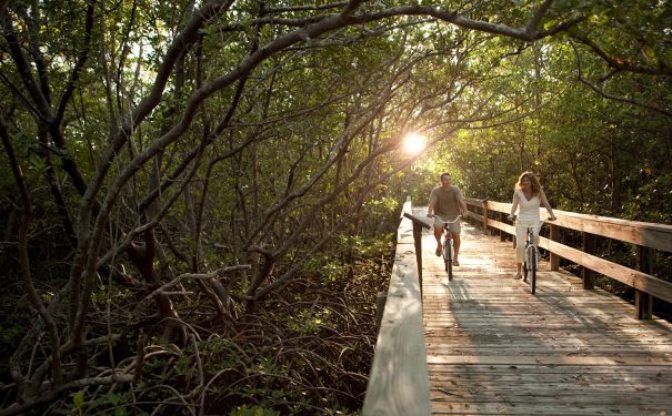 FL/Fort Myers/Fahrrad