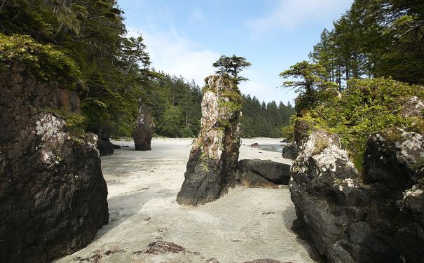 BC/Port Hardy/Kwa'Lilas Hotel/Außen