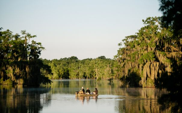 LA/Lafayette & Umgebung/Lake Martin/Saint Martin Parish