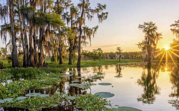 LA/Lafayette - Duck Lake Sunrise