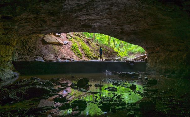 MO/Rock Bridge Memorial State Park