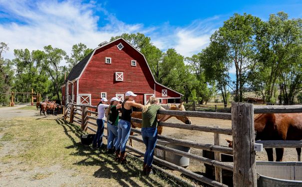 MT/Circle Bar Guest Ranch/Rote Scheune