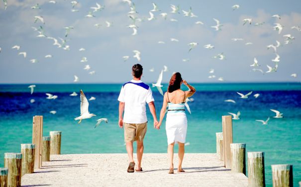 BAH/Eleuthera/Harbour Island Steg mit Möwen