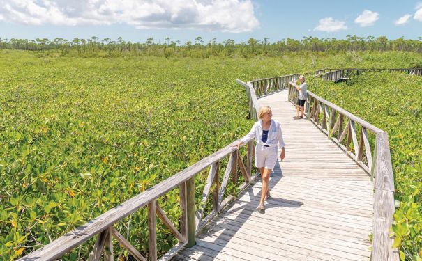 BAH/Grand Bahama Island/Spaziergang auf dem Steg