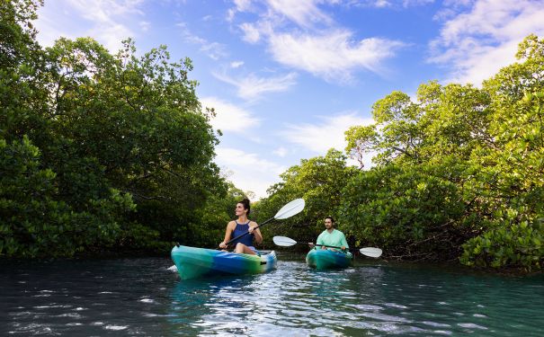 FL/Naples/Clam Pass/Kayak