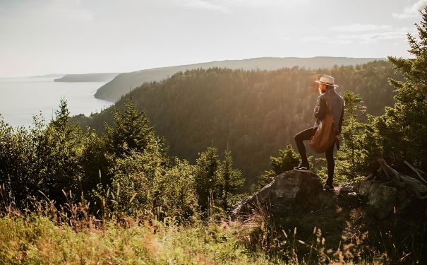 NB/Fundy National Park/Scenic Outlook