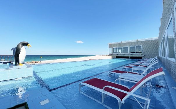 OMN/Ras Al Hadd/Turtle Beach Resort/Pool