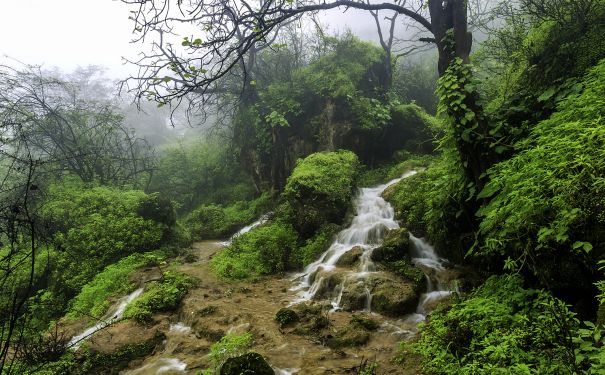 OMN/Salalah/Khareef Season