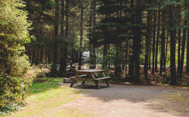 NB/Edmundston/Parc Provincial de la République Provincial Park