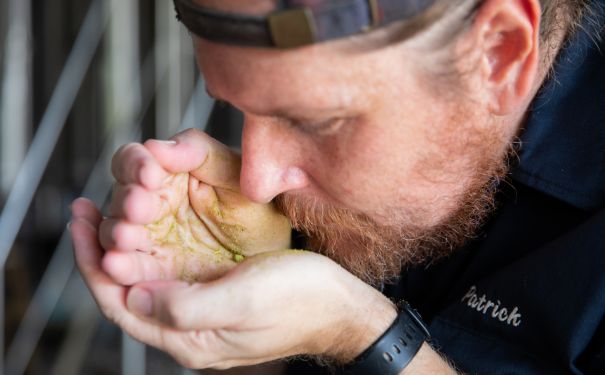 SC/Myrtle Beach/Craft Beer/Tidal Creek Brewhouse - Hopfen Kontrolle