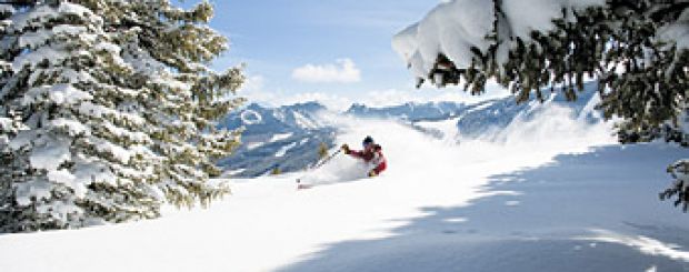 CO/Beaver Creek/Affleck-powder-340