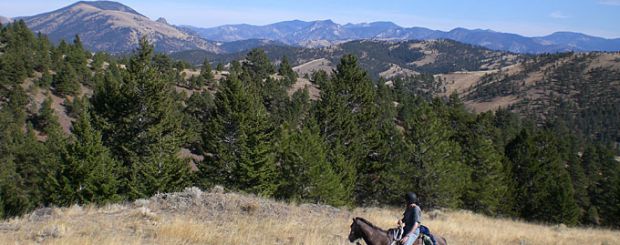 MT/Rocking Z Ranch/Weitblick mit Reiter