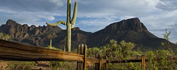 AZ/White Stallion Ranch/Weitblick 340