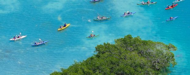 Kayakers, Florida - Credit: Rob O`Neal