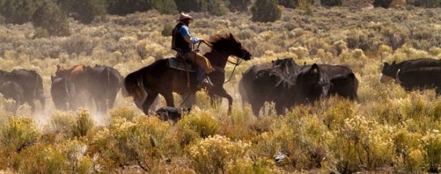 UT/Rockin' R Ranch/Cattle Drive 1