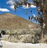 Shoe Tree am Highway 50, Nevada - Credit: TravelNevada