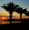 Lakewood Ranch, Florida - Credit: Lakewood Ranch Communities