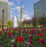 City Hall vor Tulpen in Philadelphia, Pennsylvania - Credit: PHCVB, Andrea Golod