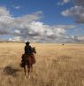 Reiter der La Reata Ranch, Saskatchewan  - Credit: La Reata Ranch