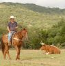 Reiter mit Longhorn auf der Dixie Dude Ranch, Texas - Credit: Dixie Dude Ranch