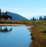 Chilcotin Holidays Guest Ranch, British Columbia - Credit: Chilcotin Holidays Guest Ranch