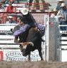 Cheyenne Frontier Days, Wyoming - Credit: Rocky Mountain International